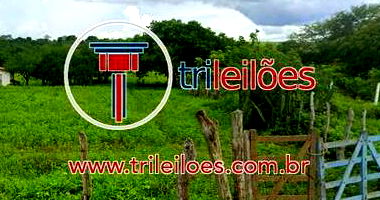 Imóvel Rural com 102,3ha em Carnaubais/RN