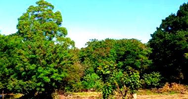 Terreno em Loteamento Jardim Santa Luzia III