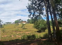 Imóvel rural com casa de alvenaria - 59.213m² - Ribeirão Claro/PR
