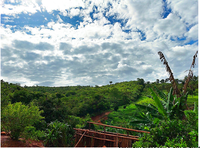 Imóvel Rural com 37,45 hectares, sem benfeitorias, ideal para investimento