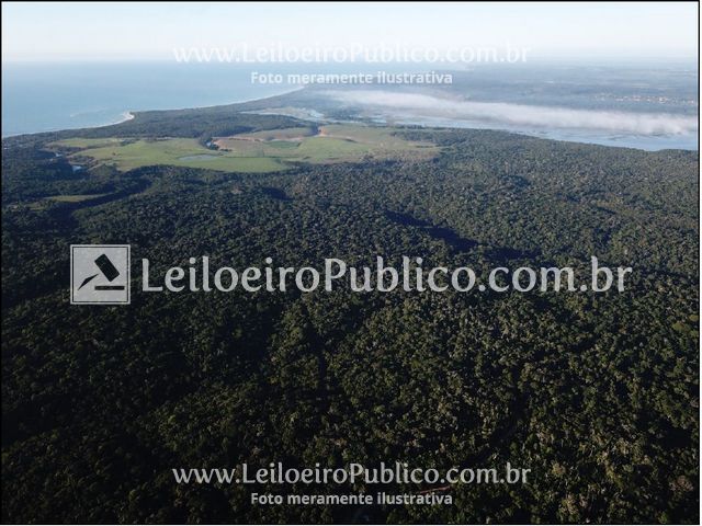 Terreno amplo de 12 hectares em Trancoso, ideal para investimento