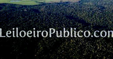 Terreno amplo de 12 hectares em Trancoso, ideal para investimento