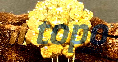 Anel em Ouro Branco com Brilhantes - Lote 11