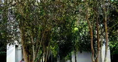 Casa em Goiânia com 308m² de área construída