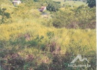 Lote de 379,56m² no Condomínio Campestre Lelente em Muriaé/MG