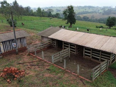 Gleba Rural de 84.700 m² com Solo Apto para Lavoura