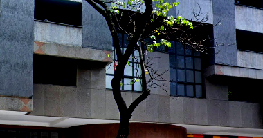 Sala Comercial em Belo Horizonte - Condomínio Maximiano Center Shop