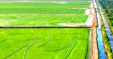 Fazenda São Judas: Imóvel Rural com 1002 Hectares em Miranda/MS