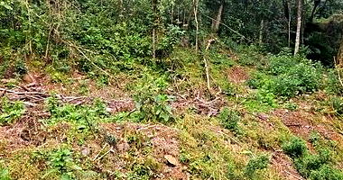 Terreno com 427,95m² em Nova Petrópolis/RS