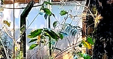 Lote Rural com 2.970m² em Realeza/PR