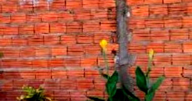Casa à venda em leilão - Centro - Magalhães de Almeida/MA