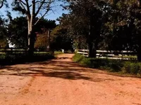 Área Rural em Leilão com 293,19ha em Itararé/SP