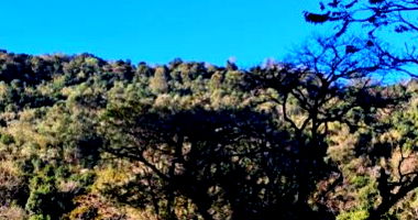 Sítio com 12,10 hectares em Nova Itaberaba/SC