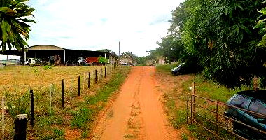 Terreno vazio de 495m² em Junqueirópolis/SP
