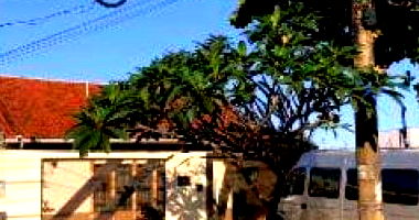 Casa 228 m² com 2 quartos e 2 banheiros em Campo Grande