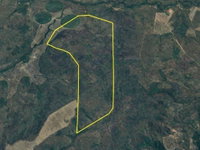 Fazenda Chapada da Cobra com 1.246 ha, ocupada, ideal para investimento rural