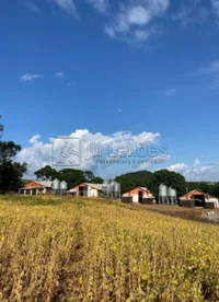 IMÓVEL RURAL COM 24 HECTARES E 04 AVIÁRIOS EM SANTO ANTÔNIO DO PALMA/RS