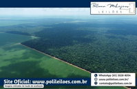 Fazenda Bom Retiro II com 500ha em Vera/MT