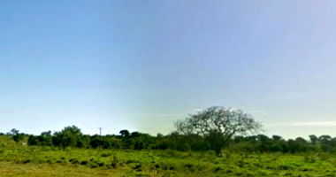 Imóvel Rural com 23.050ha em Sítio d’Abadia/GO