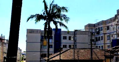 Apartamento com 2 quartos em Cachoeirinha