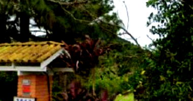 Terreno amplo com 4 casas, área total 23.613m², Florianópolis