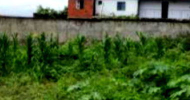 Terreno amplo murado com 10.426m², sem benfeitorias, excelente localização