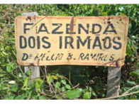 Fazenda 196 hectares com cultura de amendoim e pastagem - Teodoro Sampaio/SP