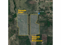 Lote com 2 Imóveis Rurais em Ipecaetá/BA