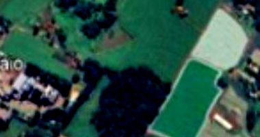 Imóvel Rural com Casa e Barracões, Área Construída 5500 m², Ocupado