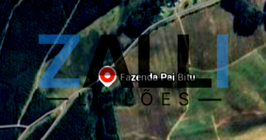 Área Rural de 22 Hectares em São Francisco de Paula/RS