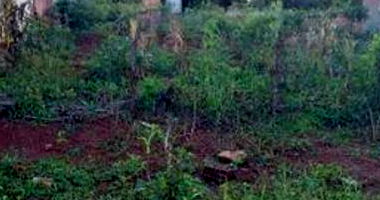 Imóvel Urbano com Área de 612.50 m² em Barbosa Ferraz-PR