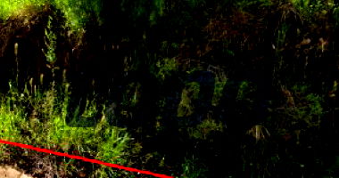 Terreno Urbano em Marquinho/PR com 1000m²