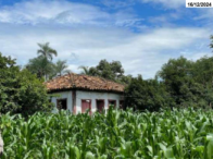 Fazenda com 242 hectares - Ipameri/GO - Oportunidade única!