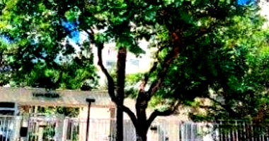 Apartamento 125 no 12º andar com 1 vaga em Guarulhos