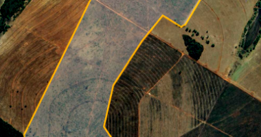 Fazenda com 162 hectares, terras de culturas e cerrados, boa conservação