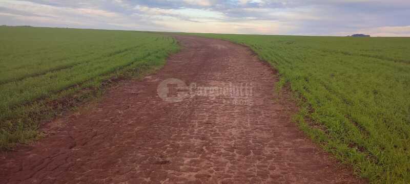 Espaçoso Terreno Rural de 500.000m² para Cultura