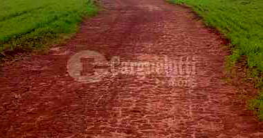 Espaçoso Terreno Rural de 500.000m² para Cultura