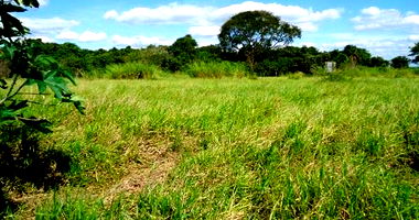 Terreno Urbano com 1.162m² em Brodowski/SP