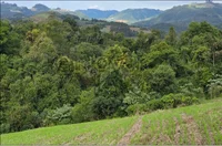Área Rural com 86.992 m² em Estrela Velha - RS
