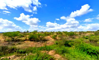Terreno com 77.616m² e Gasolina em Paraú/RN