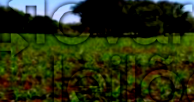 Área Rural com 3 Hectares em Garruchos/RS