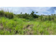 Terreno de 600m² em Rio Branco/AC, ideal para investimento