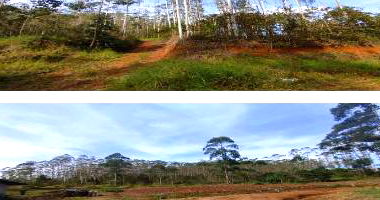 Terreno Rural com 272.500m² em Vitor Meireles/SC