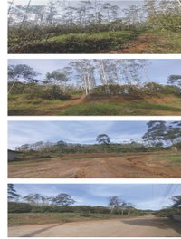Terreno Rural com 272.500m² em Vitor Meireles/SC