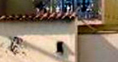 Casa 61 m² em São João de Meriti - Ocupada