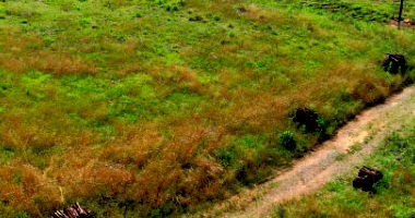 Terreno urbano amplo com 70.972m² em Campo Largo, PR