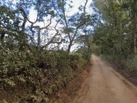 Imóvel Rural com 207ha em Cachoeira da Prata/MG