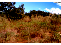 Terreno 600m² em Porto Nacional/TO