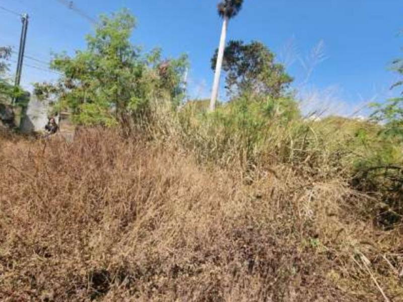 Lote com 2123.38 m² de terreno e 73.30 m² construídos