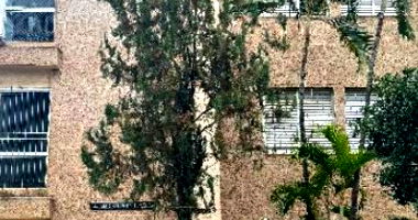 Apartamento com 4 quartos em Belo Horizonte